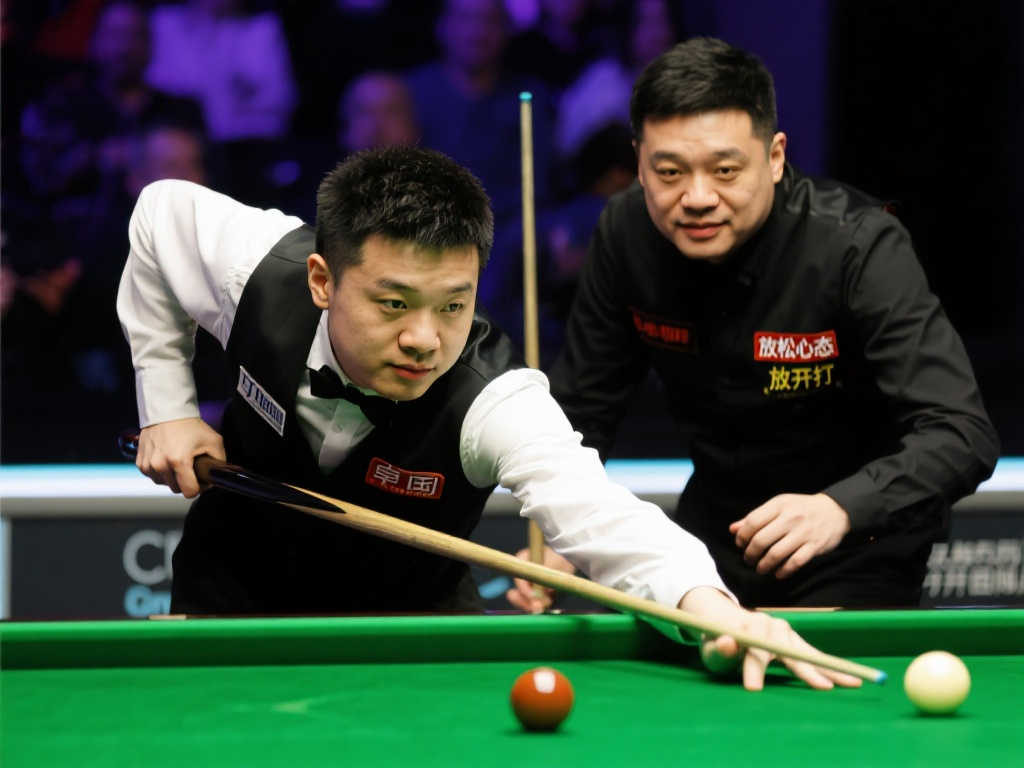 入了信心 入了信心