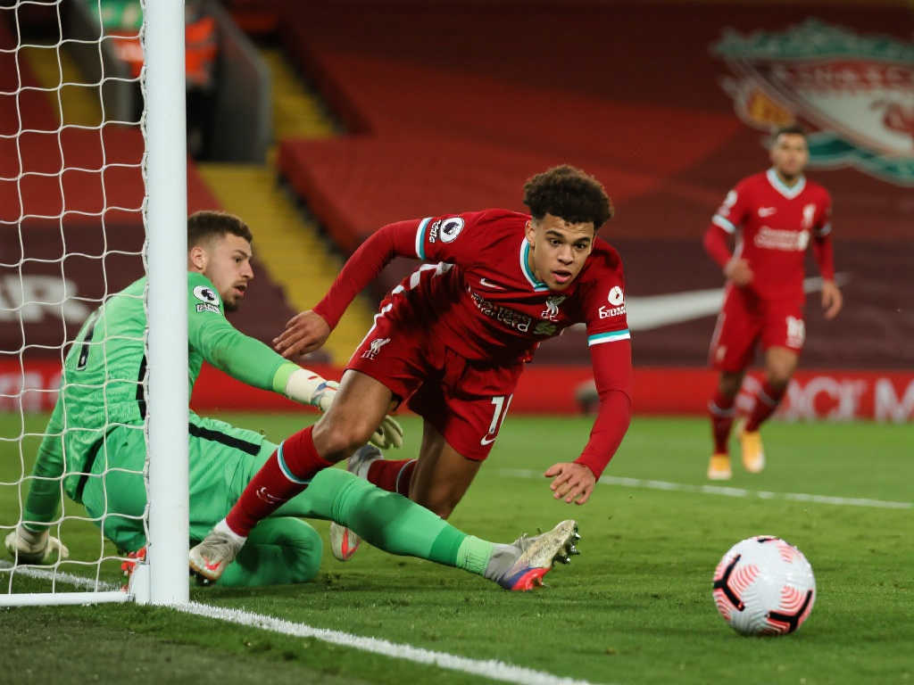 巴迪亞希爾 巴迪亞希爾